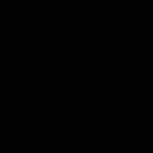 Meet your Posher, Brady